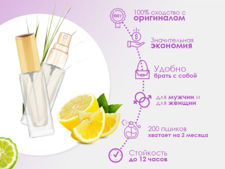 Духи Vetiver & Lemon, Bergamot, 6 ml (сходство с ароматом 100%)