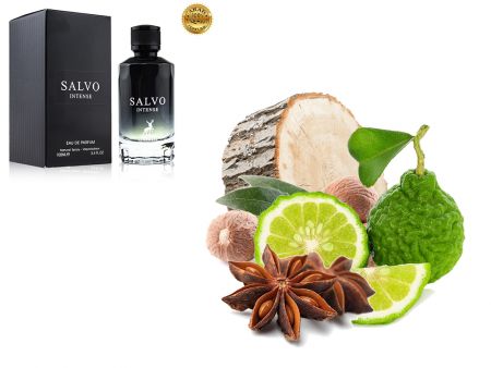 Alhambra Salvo Intense, Edp, 100 ml (ОАЭ ОРИГИНАЛ)