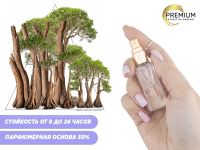 Духи Удовый Лес, 6 ml (сходство с ароматом 100%) Духи Удовый Лес, 6 ml (сходство с ароматом 100%)