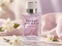Eklaat Woman Pour Femme, Edp, 65 ml