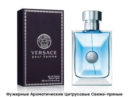 Versace Pour Homme Versace, Edt, 100 ml